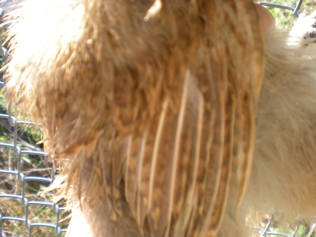DSCN0472.jpg