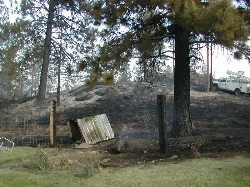 DSCN3561.jpg