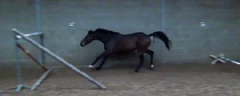 tumblr_n4v8gz3Ngn1qmonfyo1_500.gif