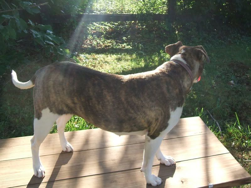 DSCF3276.jpg