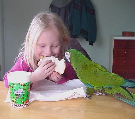 SHARING.jpg