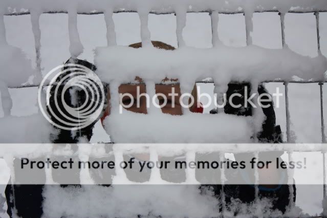 Dec26058.jpg