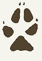 83px-Foxprint.jpg