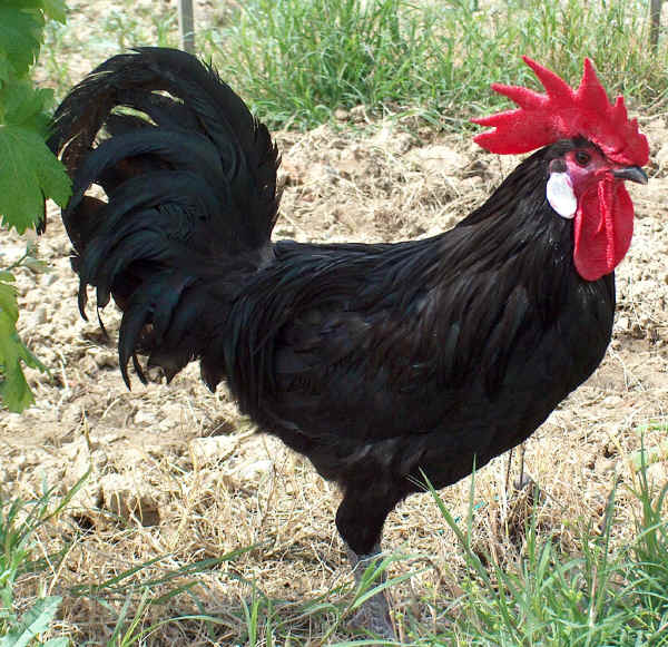 valdarno.JPG