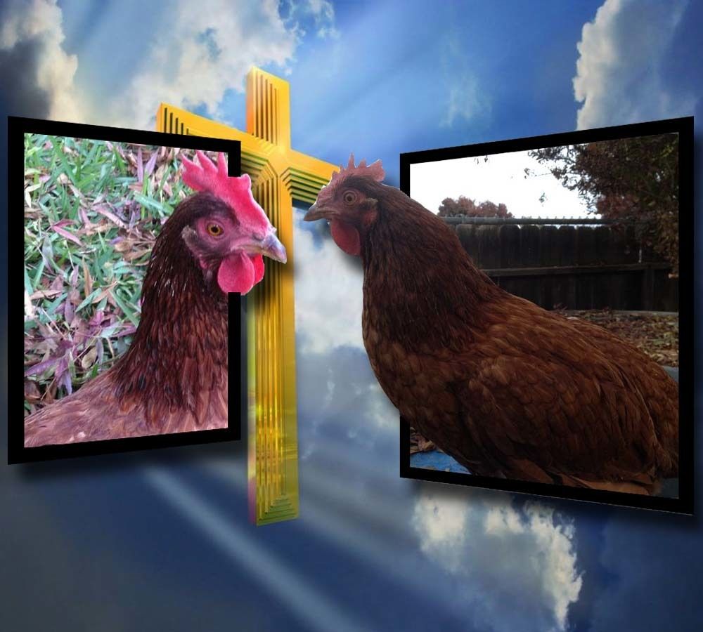 30x30px-ZC-72b8fef0_OutofboundLupitathehen.jpeg