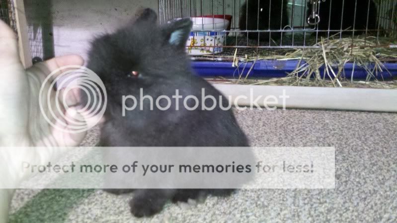 2011-12-22_23-13-13_681.jpg