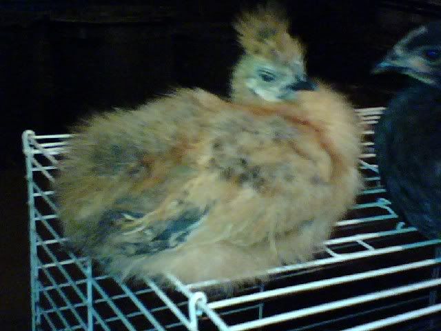 0617082051.jpg