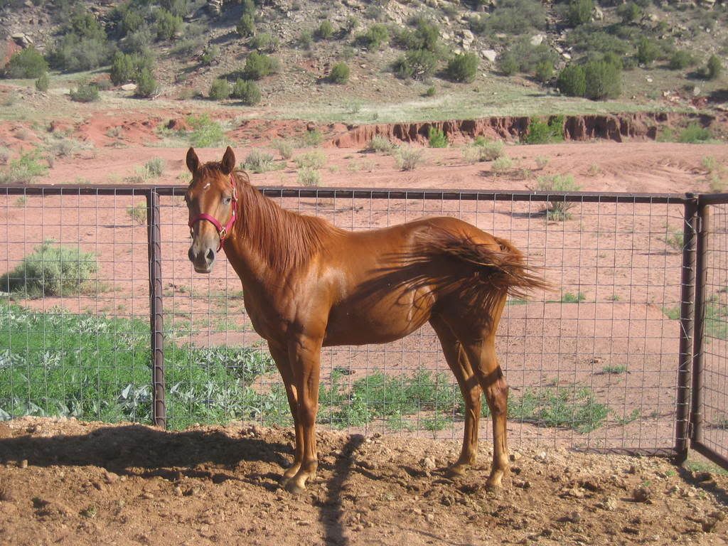 04-20-08017-2.jpg
