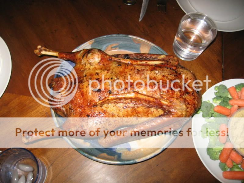 DecChickens022.jpg