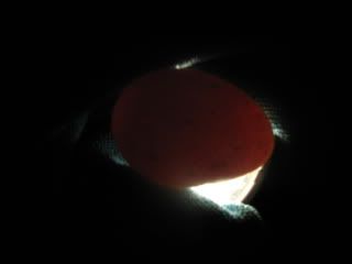 IMG_0662.jpg