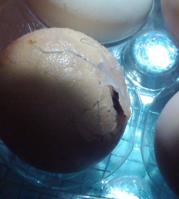 2011-06-05202833.jpg