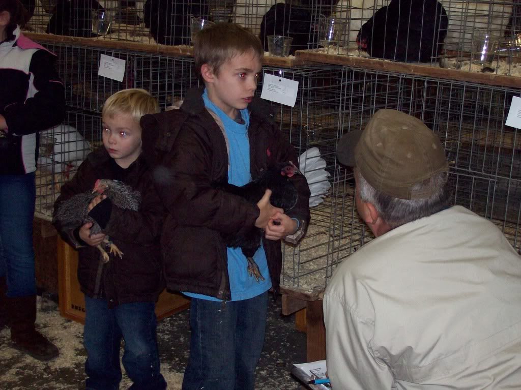 silkies022.jpg