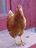 th_DoeSept152008.jpg