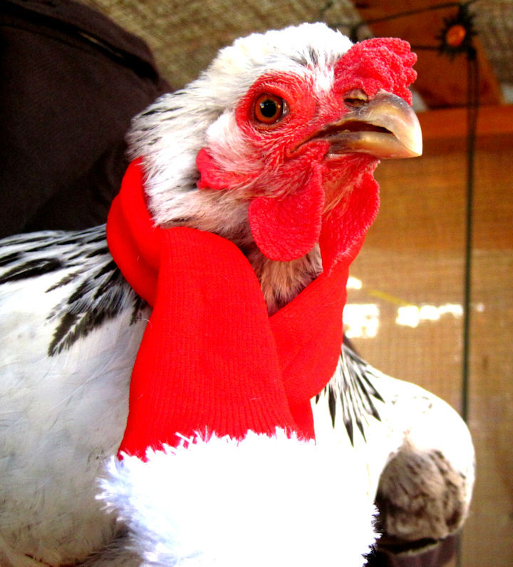 20111215_7.JPG