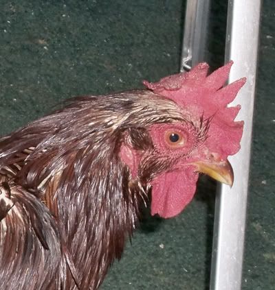 100_2361.jpg