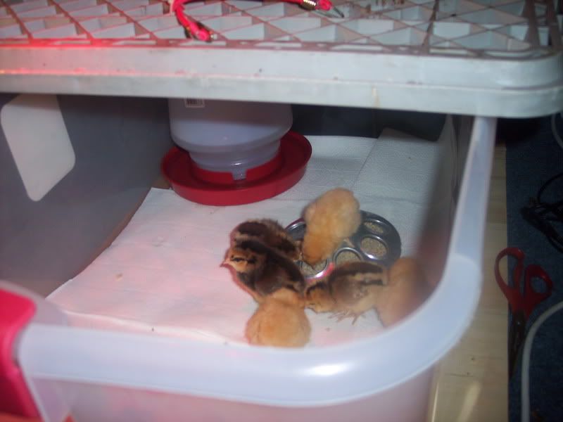 100_0211.jpg