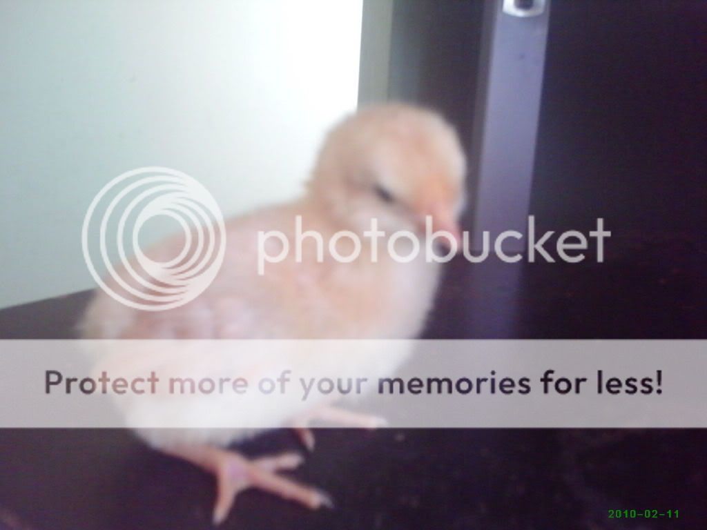 PHTO0595.jpg