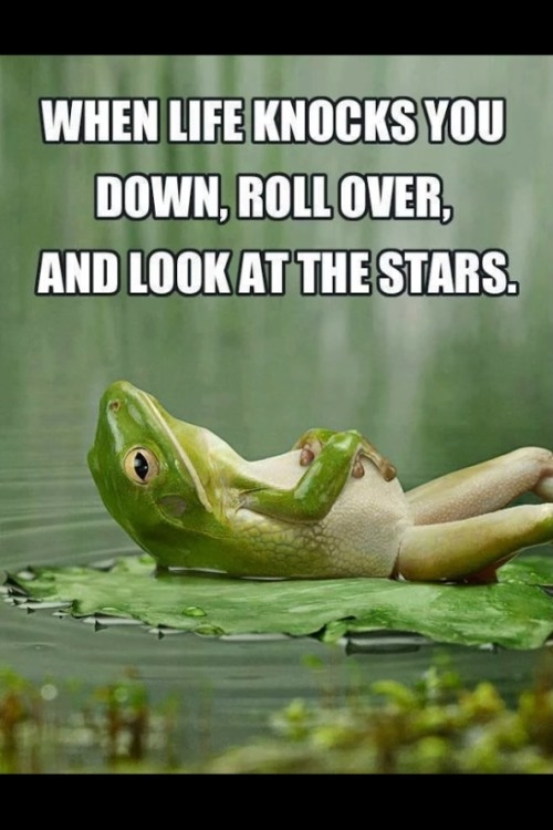 89985-When-Life-Knocks-You-Down.jpg