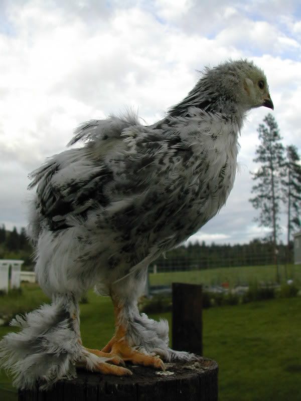 DSCN2573.jpg