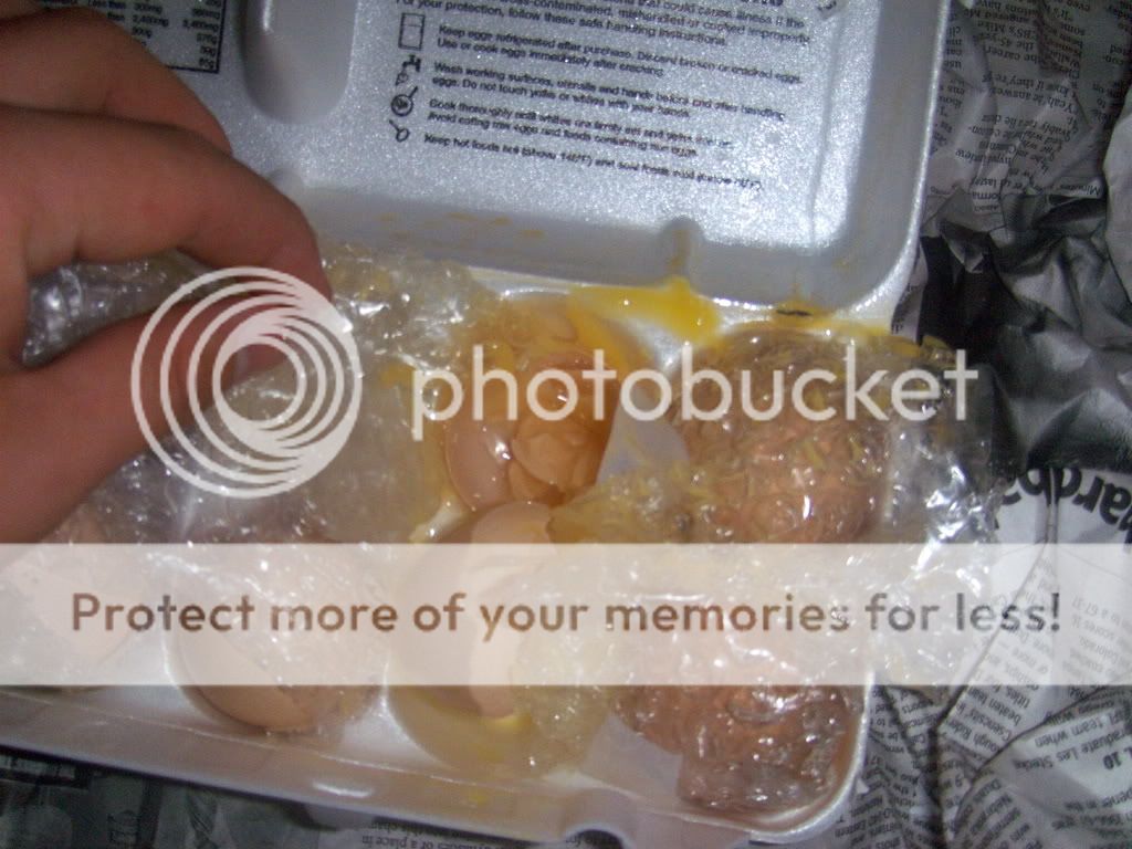 Ruinedeggs008.jpg