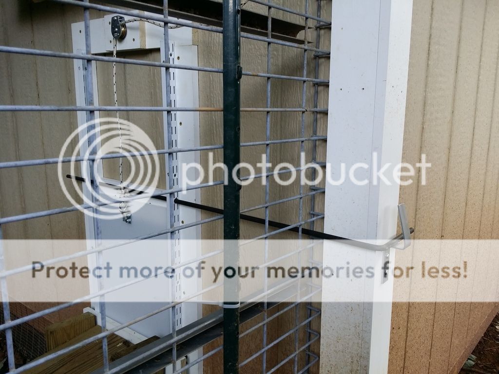 20170528_184702.jpg