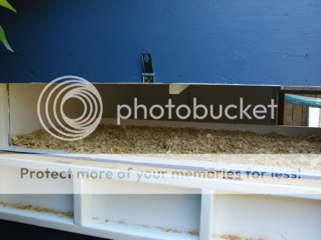 DSC00985.jpg