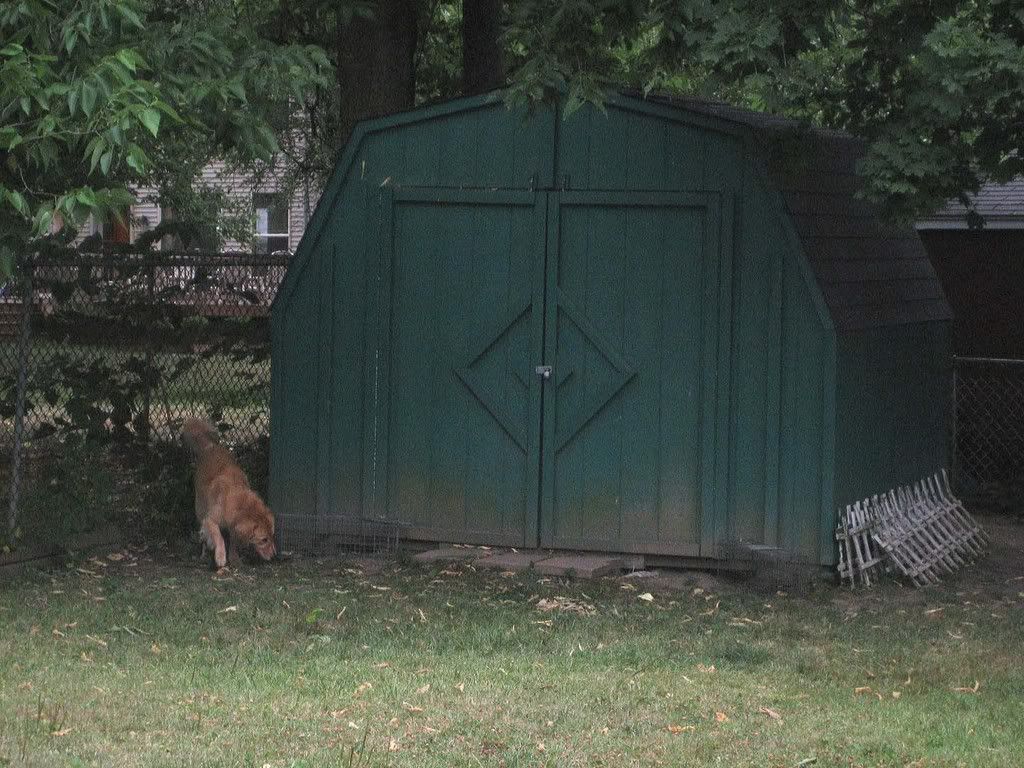 IMG_0202.jpg