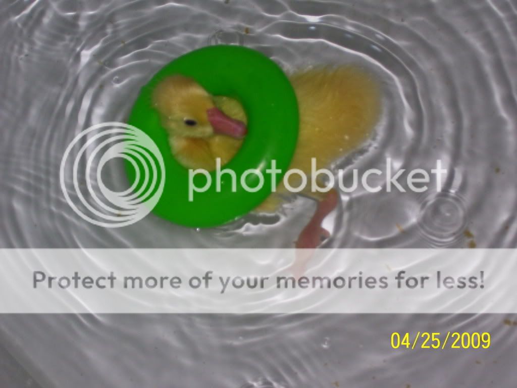 100_1902.jpg