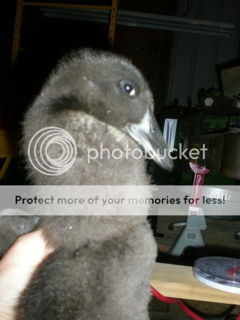 DSCN2825.jpg
