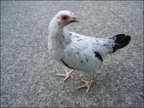 James_patio2.jpg