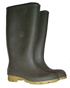 240px-Wellies.jpg