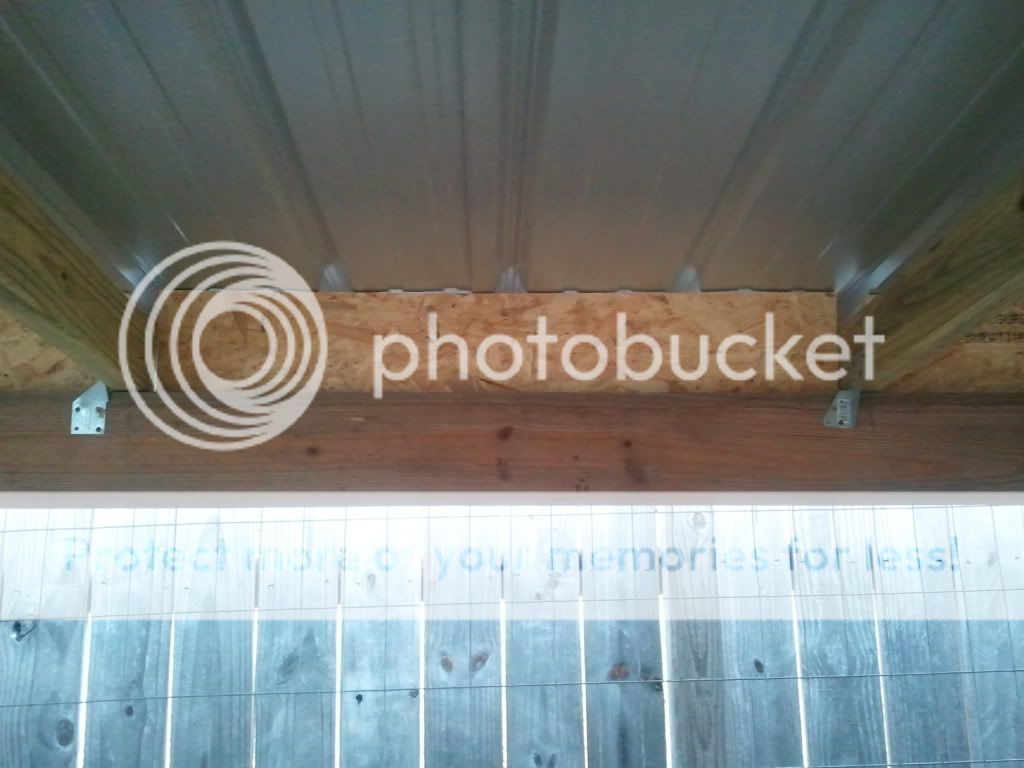 2011-03-04091232.jpg