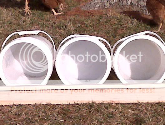 nestboxes002.jpg