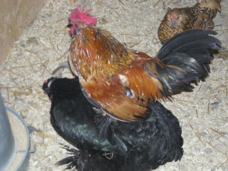 DSCN2325.jpg