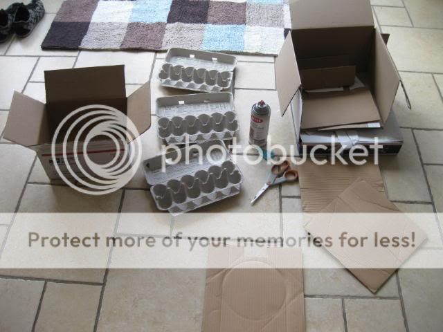 packingeggs1-1.jpg