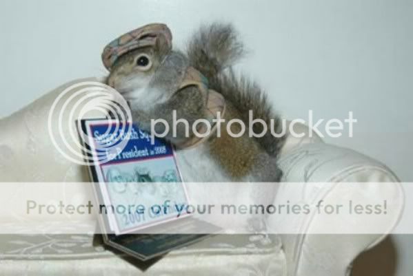 squirrel02.jpg