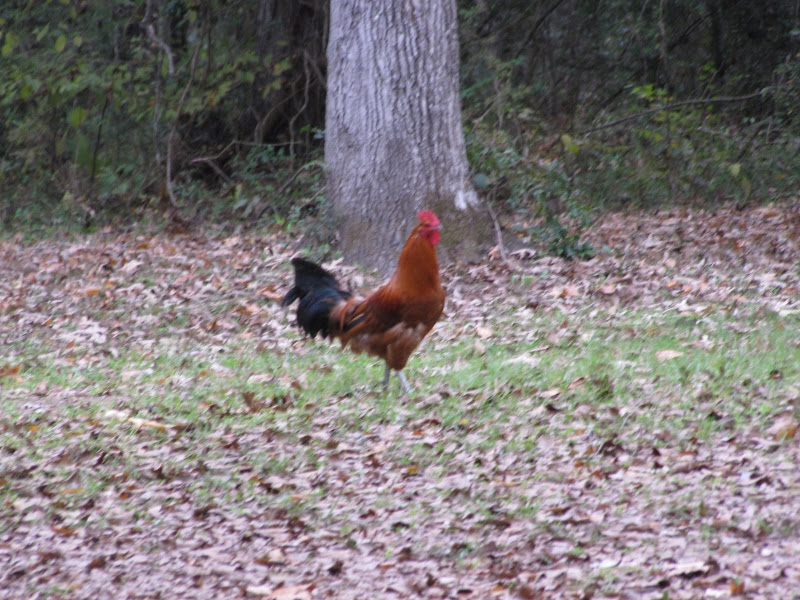 IMG_6835.JPG
