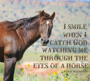 1015576748-cute-horse-quotes-1.jpg