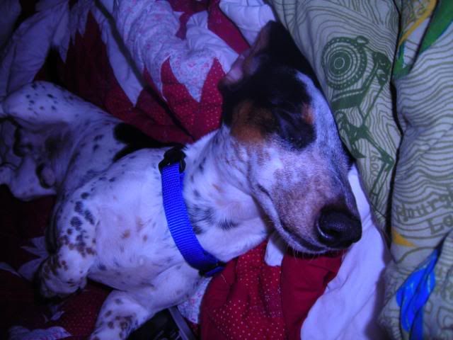 DSCN4950.jpg