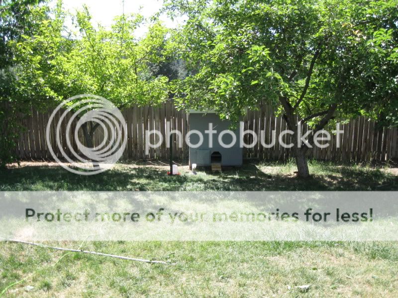 July4th2011001.jpg