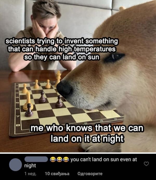 87369952.jpg
