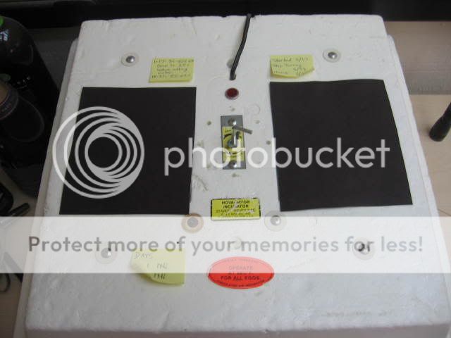 20090321_0078.jpg
