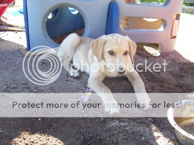 100_3596.jpg