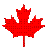 leaf.gif