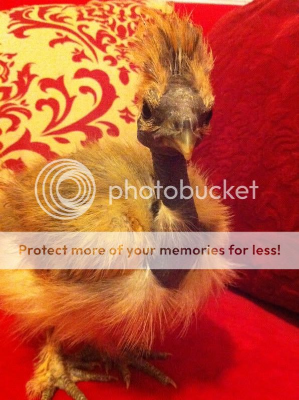 photo22.jpg