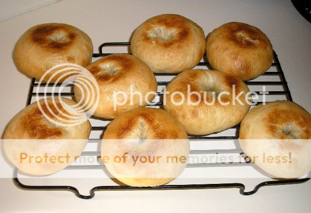 Bagels2-21-10002resize.jpg