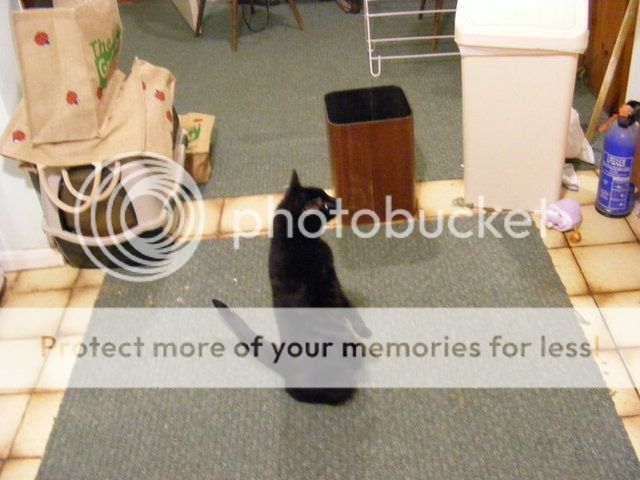 DSCF0267.jpg