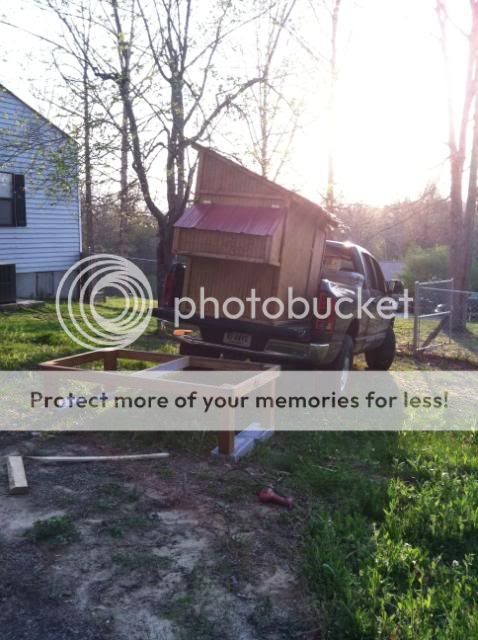Chickencoop2011038.jpg