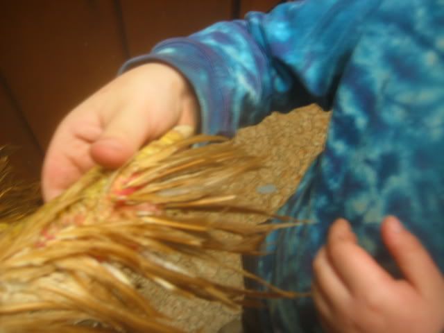 100_0022.jpg