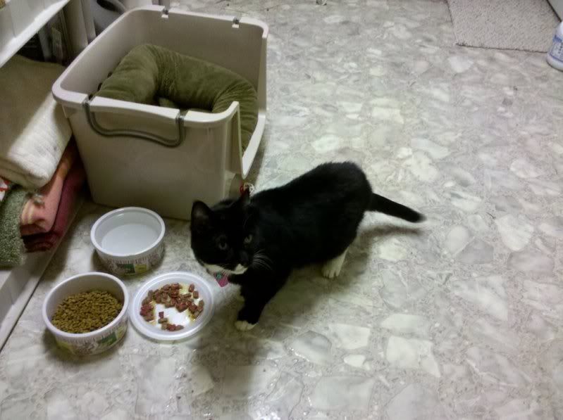 138047890_photobucket_7997_.jpg